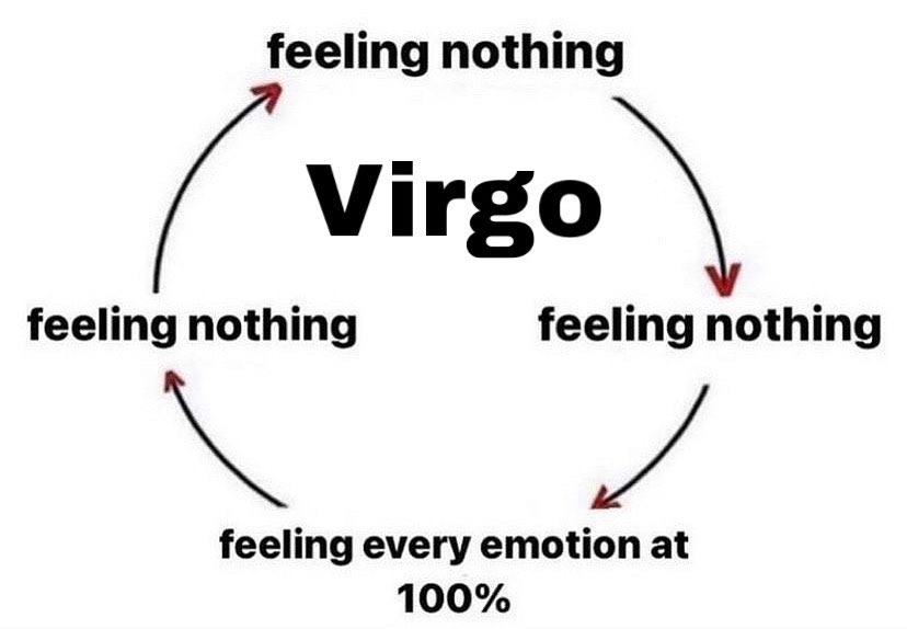 virgo life: