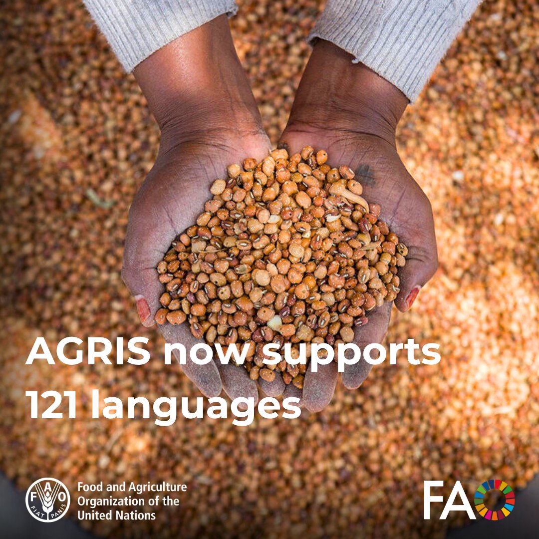 FAOAIMS's tweet image. 🌍With the addition of two more languages, #AGRIS now offers agricultural research in 121 languages.
🔍Discover more: fao.org/agris/news/agr…