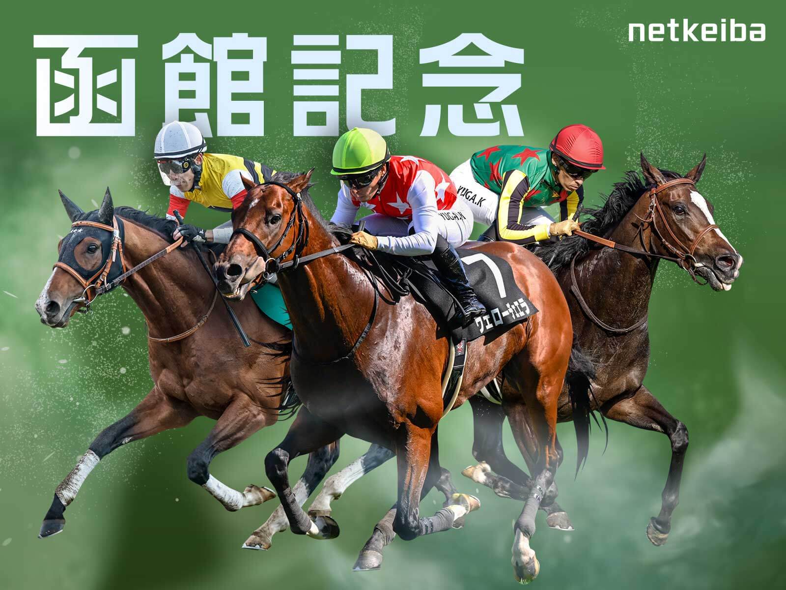 激レア 絶版 廃盤 写真集 ONTHETURF2 競馬 本・雑誌・写真集 - 競馬グッズの通販サイト ノーザンホース