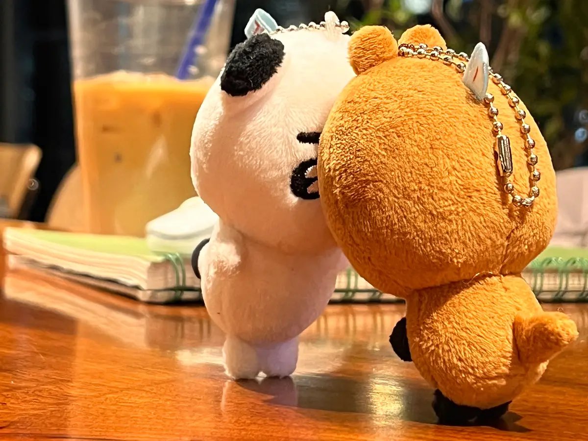 ddolkz's tweet photo. 김땨, 숭카 재고도 함께 오픈됩니다 https://t.co/okxtrv712J