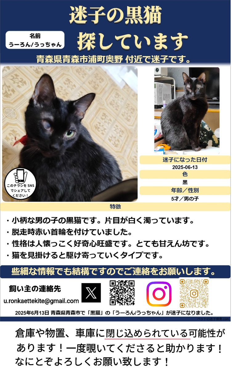 u_ronoide's tweet photo. 【 #迷子猫 探しています】
 #青森県 #青森市 浦町奥野にて6/13(金)20時頃脱走しました。
小柄なオスの黒猫で片目が白く濁っています。脱走時赤い首輪を付けていましたが外れている可能性があります。
倉庫内や車庫等に閉じ込められているかもしれません、静かでも今一度確認して頂けると助かります。 https://t.co/tCzATBQ413