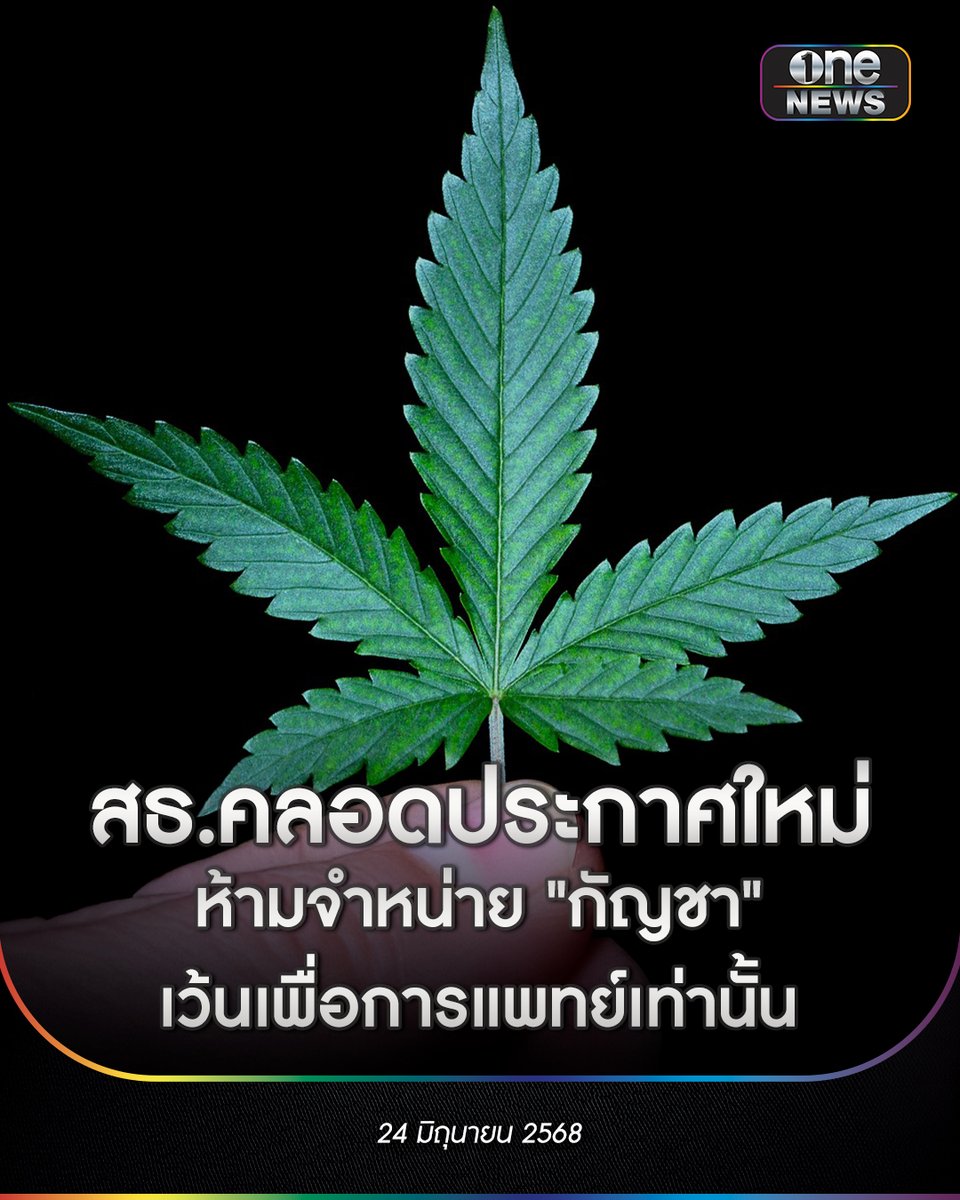 onenews31's tweet photo. พรรคเพื่อไทย เผยประกาศกระทรวงสาธารณสุข เรื่องสมุนไพรควบคุม (กัญชา) ปี 2568 กัญชาไม่เสรีอีกต่อไป เน้น 'ใช้ทางการแพทย์เท่านั้น' และห้ามจำหน่ายหากไม่มีใบอนุญาตแม้แต่ในช่องทางออนไลน์
.
โดยให้ยกเลิกประกาศกระทรวงสาธารณสุขเมื่อปี 2565 และให้กัญชาเฉพาะส่วนของช่อดอกเป็นสมุนไพรควบคุม หากมีใครอยากที่จะศึกษาวิจัย ส่งออก จำหน่าย หรือแปรรูปต้องได้รับใบอนุญาตตามมาตรา 46 และต้องปฏิบัติตามเงื่อนไข เช่น ต้องรายงานข้อมูลตามแบบที่อธิบดีประกาศกำหนด หรือหากอยากจะจำหน่ายต้องมีใบอนุญาตตามมาตรา 46 เท่านั้น และการจำหน่ายต้องมาจากแหล่งที่ได้รับมาตรฐานการเพาะปลูกและเก็บเกี่ยวที่ดีจากกรมการแพทย์แผนไทยและการแพทย์���างเลือก
.
นอกจากนี้ ยังระบุห้ามจำหน่ายในสถานที่ประกอบการ เว้นแต่เป็นผู้ประกอบวิชาชีพเวชกรรมตามกฎหมาย ห้ามจำหน่ายหรือแปรรูปเพื่อการค้าในตู้จำหน่ายสินค้าอัตโนมัติหรือผ่านช่องทางอิเล็กทรอนิกส์ ห้ามโฆษณา และห้ามจำหน่ายตามสถานที่ต่างๆ อาทิ วัด หอพัก สวนสาธารณะ สวนสัตว์ สวนสนุก เป็นต้น
.
#สำนักข่าววันนิวส์