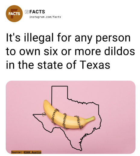 calling the police on people for having too many dildos😂