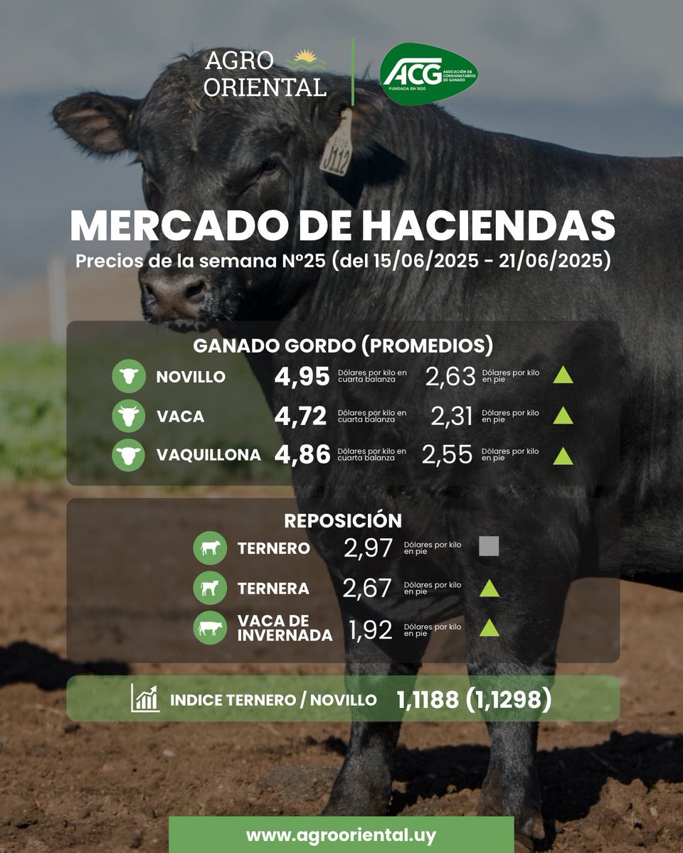 🐂 𝗠𝗘𝗥𝗖𝗔𝗗𝗢 𝗗𝗘 𝗛𝗔𝗖𝗜𝗘𝗡𝗗𝗔𝗦
Precios de la semana N°25 (del 15/06/2025 - 21/06/2025)

AgroOriental, una nueva forma de ver el campo.
📲 Por más info: agrooriental.uy