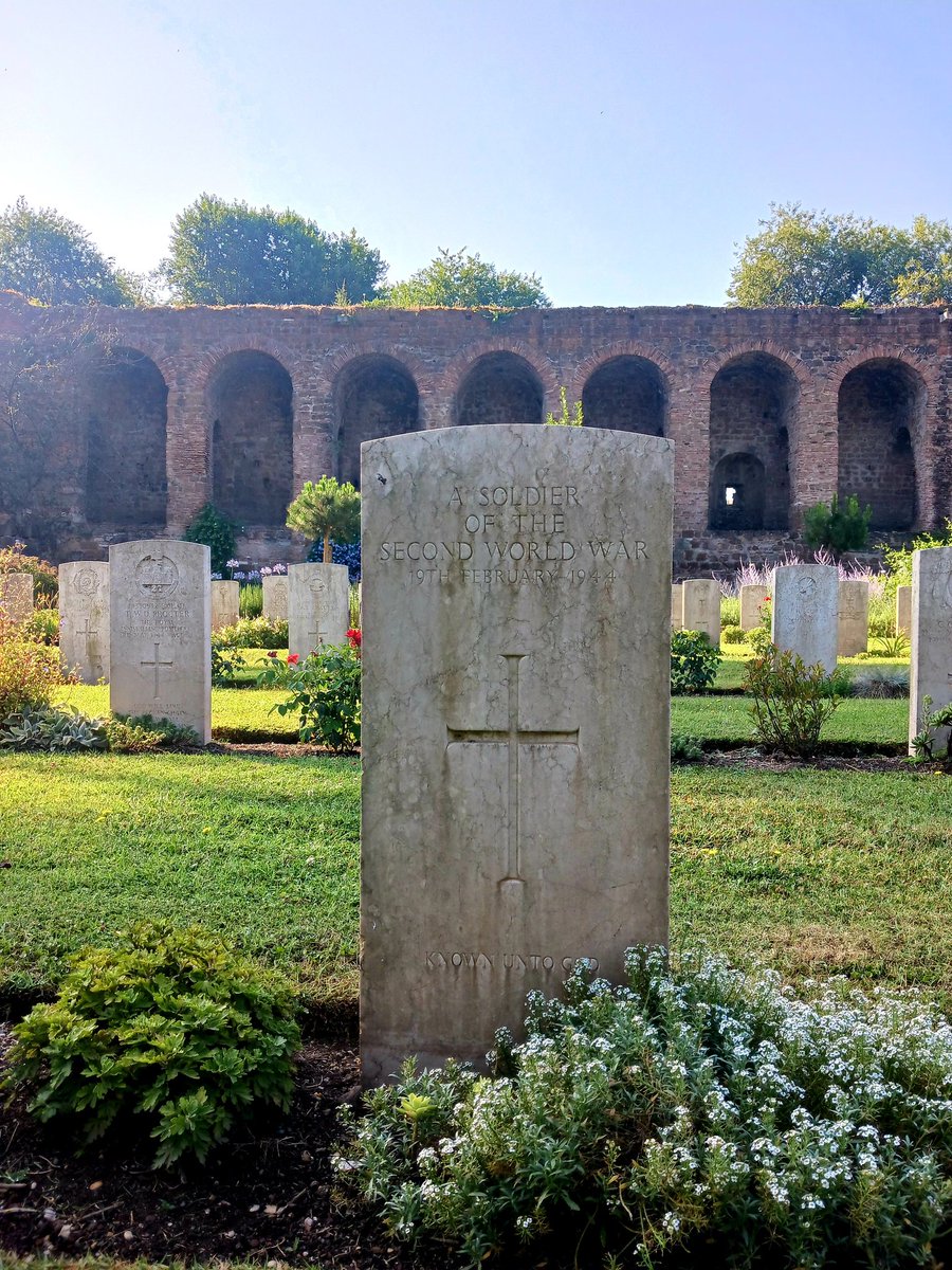 sharon Knott tweet media