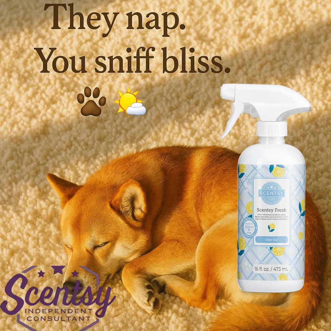 tsluis1986's tweet photo. Fur baby snoozes = 💯

But their scent? Not so dreamy.

Spritz Scentsy Fresh: Odor Out and enjoy a space that smells as peaceful as they look 🐾🍋✨

Fresh vibes. Pet approved.

https://t.co/tMJZNrJ2Lc

#ScentsyFresh #OdorOutMagic #PetParentWin #ScentedPeace #ScentsyVibes #DogLifeCleanLife #FreshenUp #IndependentConsultant #BlissInASpray #NoMoreDogSmell