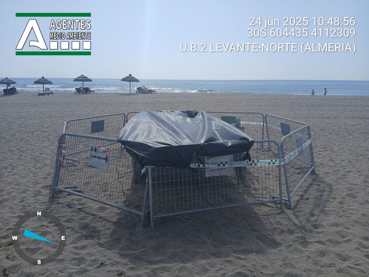 Consejería de Sostenibilidad y Medio Ambiente (@medioamband) on Twitter photo 🐢La <a href="/AndaluciaJunta/">Junta de Andalucía</a> certifica un nuevo anidamiento de tortuga boba en la playa de Mojácar, el quinto documentado en Almería desde 2001.
♻️El delegado territorial de <a href="/MedioAmbAND/">Consejería de Sostenibilidad y Medio Ambiente</a> agradece la colaboración de todos para preservar este fenómeno natural.
🔗opgob.es/vm2qu 🐢La <a href="/AndaluciaJunta/">Junta de Andalucía</a> certifica un nuevo anidamiento de tortuga boba en la playa de Mojácar, el quinto documentado en Almería desde 2001.
♻️El delegado territorial de <a href="/MedioAmbAND/">Consejería de Sostenibilidad y Medio Ambiente</a> agradece la colaboración de todos para preservar este fenómeno natural.
🔗opgob.es/vm2qu