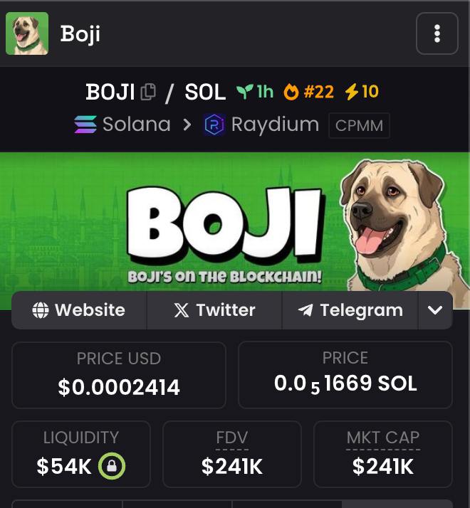 RealBojiCoin tweet picture