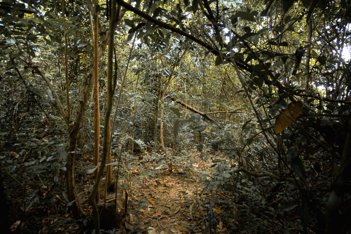 กลับจากกรุงเทพ ขับรถเล่น เจอโลเคชั่นน่าถ่าย outdoor เฉย อยากกดชัตเตอร์เลย หานางแบบแปป