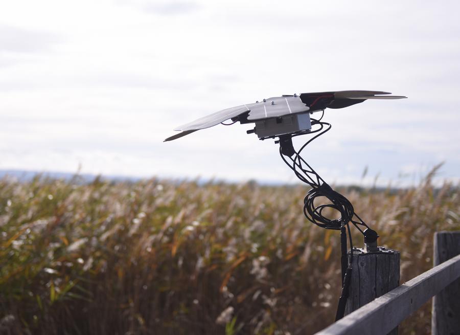 XHscitech's tweet photo. In Austria's Neusiedler See-Seewinkel National Park, AI listens to birdsong 24/7, revealing secrets of an ecosystem #TechForNature #Huawei #Conservation https://t.co/7gbHm8n08y https://t.co/T1y8f8WrEd