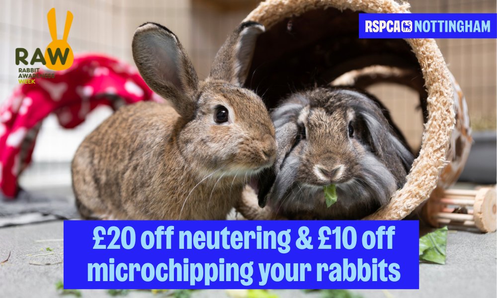 Did you know if you live in our branch area you can get help towards the cost of neutering and microchipping or your rabbits? You can apply here rspca-nottinghamandnotts.org.uk