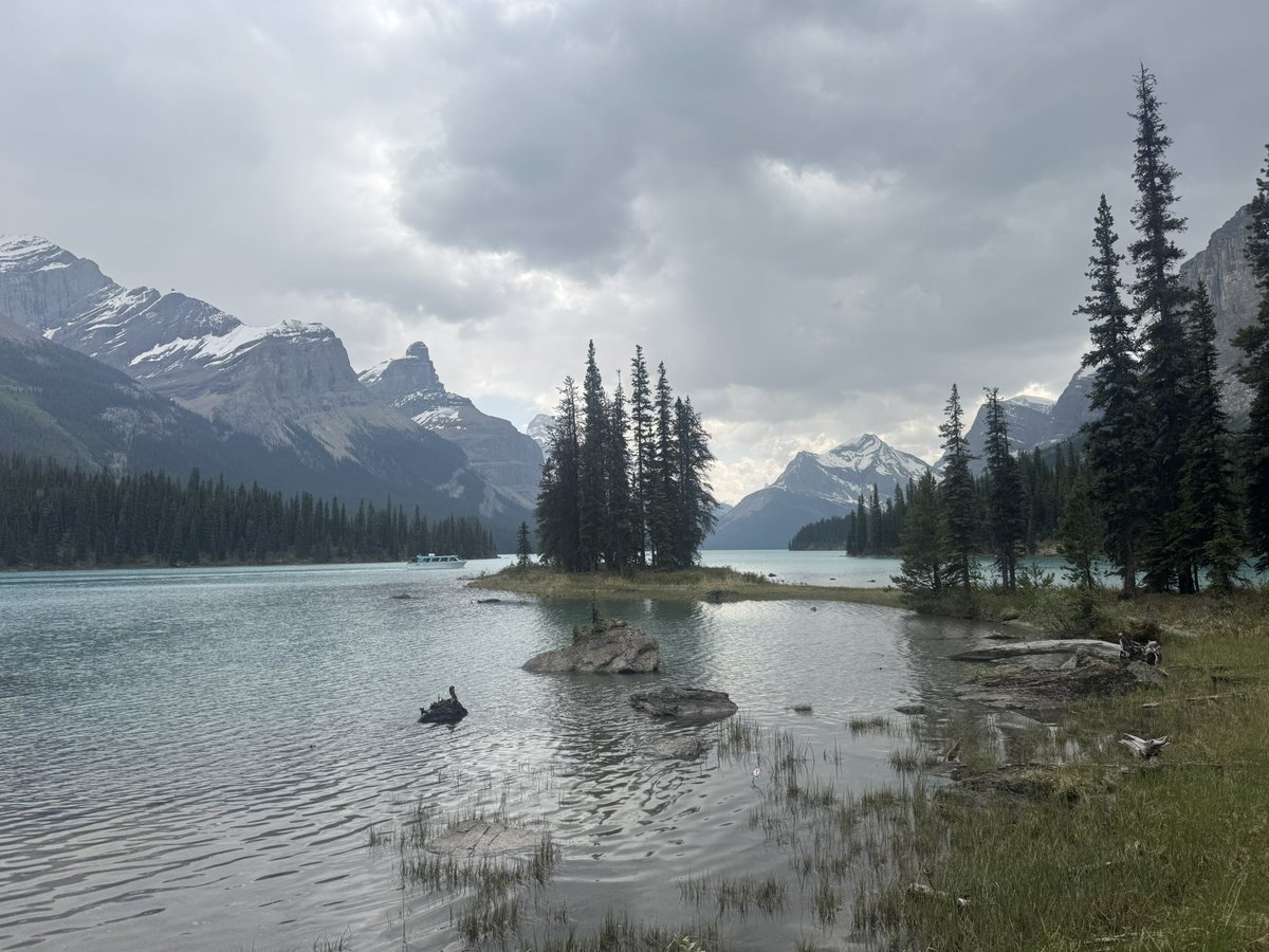popeye76169041's tweet image. Fantastic day exploring Jasper National Park. Alberta, Canada 🇨🇦 Such a wonderful serene, clean & peaceful environment.