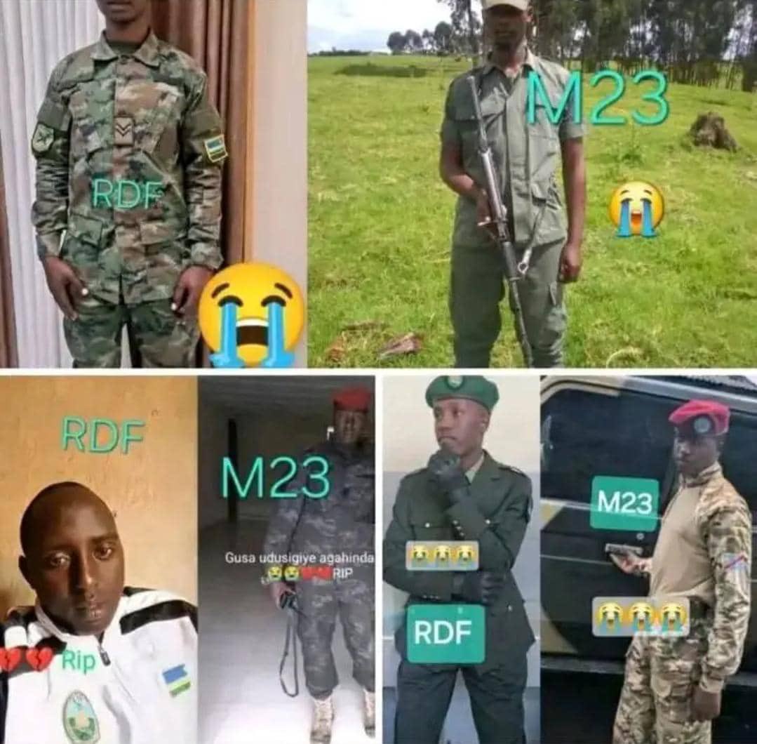 judaRdc's tweet image. 🚨Plusieurs militaires rwandais sont tombés lors de la bataille à KABARE au sud -kivu. 

Les soldats du #RDF  meurent comme de  moutons à Bukavu précisément à #kabare  #Walangu , #Nyatende dans le Sud-Kivu les #Wazalendo du Sud-Kivu ne laissent pas une seconde de respirer sans ⤵️