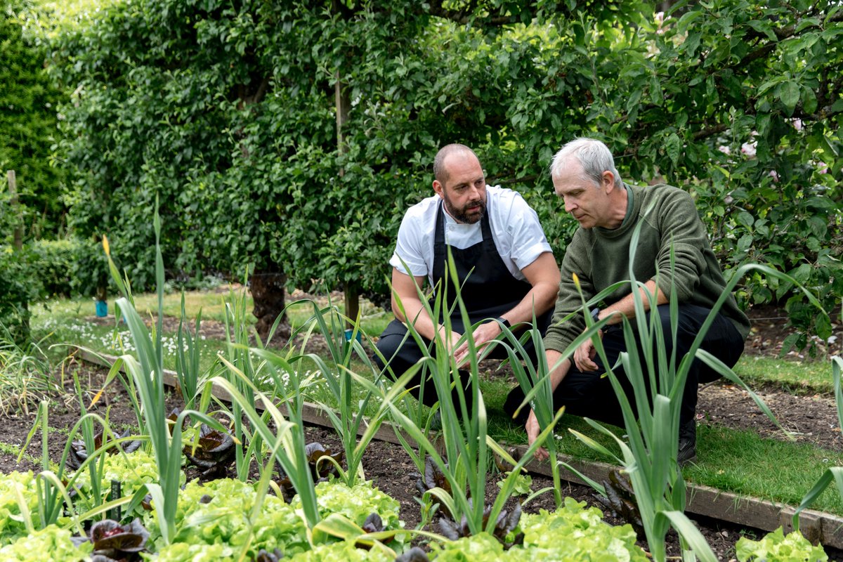 Middlethorpe Hall NT tweet media
