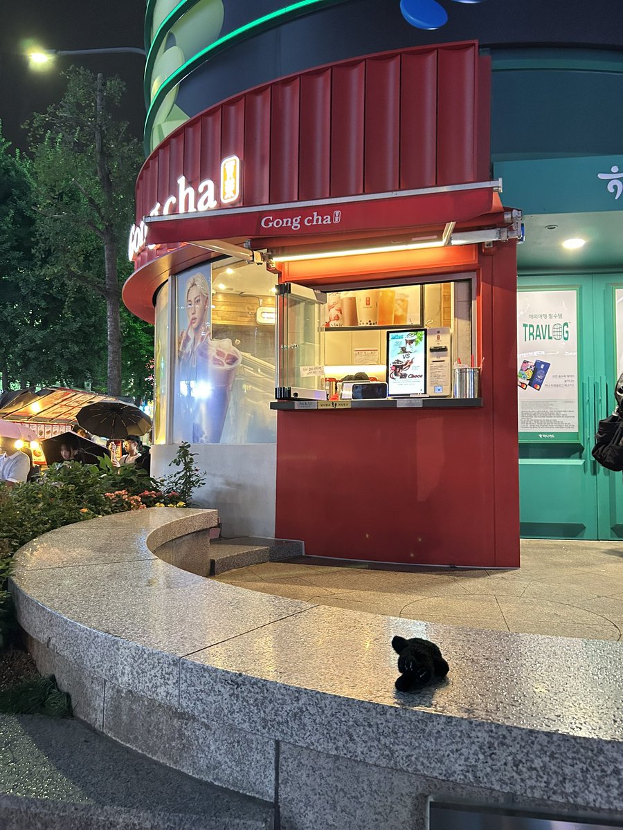 1imerence__'s tweet photo. 누구의 한탯풍이 홍대입구역 8번 출구 공차 앞에 있는 의자 위에 떨어졌는데, 이미 공차 직원에게 전달했어요. 빨리 아기를 찾아보세요ㅠㅠ

#보넥도 #쁘넥도 #보이넥스트도어 
#BOYNEXTDOOR #BBNEXDO
#HANTATPUNG #한탯풍 https://t.co/mtOI9EMY0o