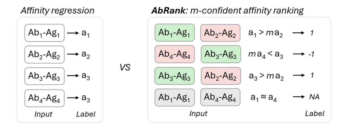 AbRank: A Benchmark Dataset and Metric-Learning Framework for Antibody–Antigen Affinity Ranking

１．AbRank introduces a large-scale benchmark for antibody–antigen (Ab–Ag) affinity prediction, reframing the task as pairwise ranking rather than regression. This design improves
