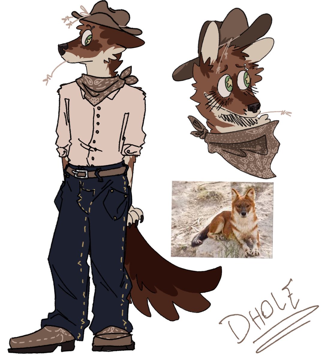 My new reference sheet for my sona! His species is a #Dhole for anyone who doesn’t know hehe