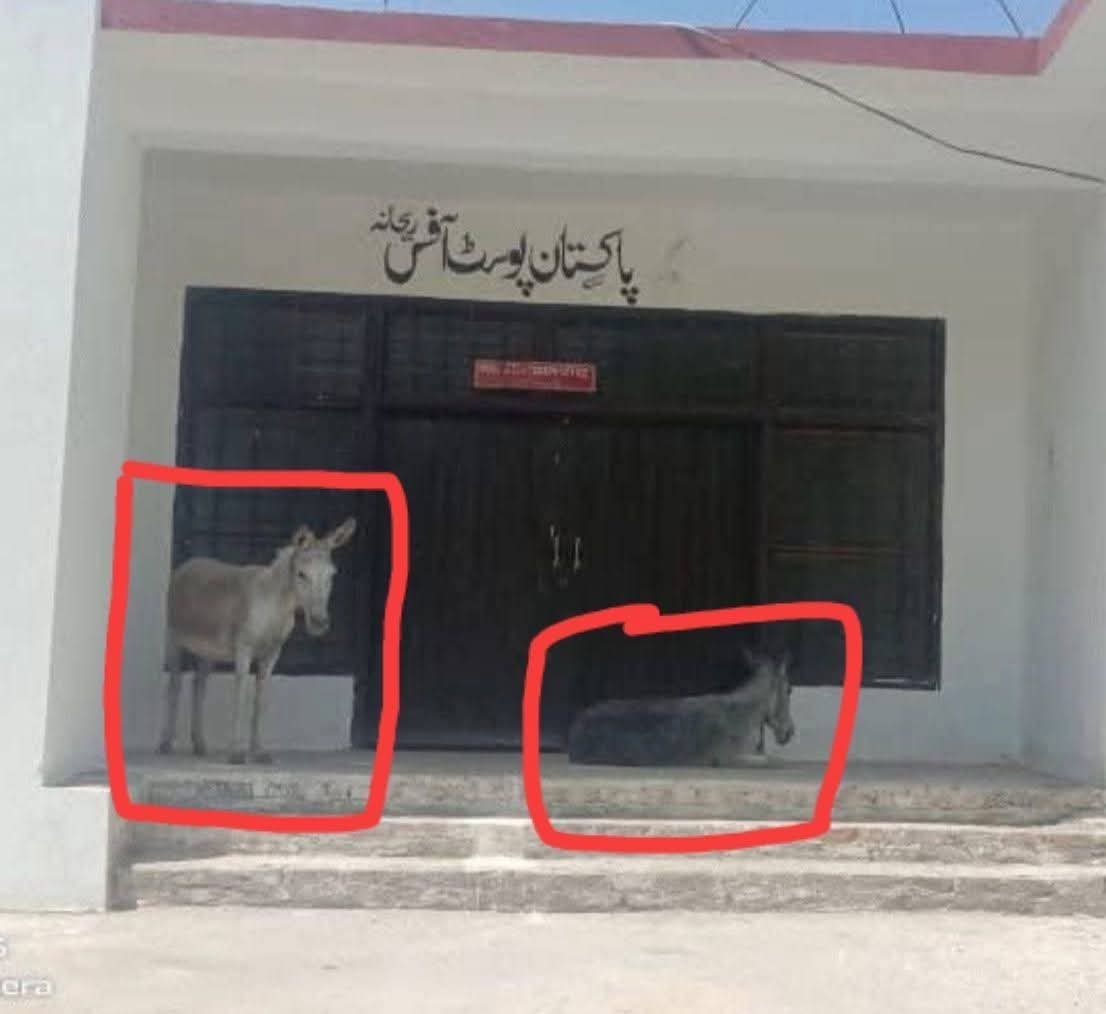 Sagir Shair (@shairsagir6427) on Twitter photo 