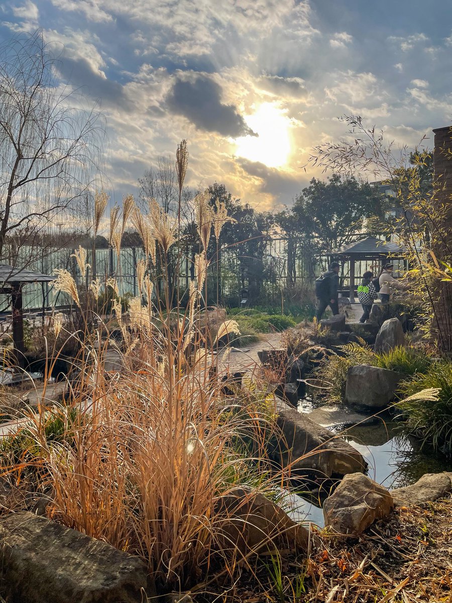 PuffHsuehFu (@puffhsuehfu) on Twitter photo 