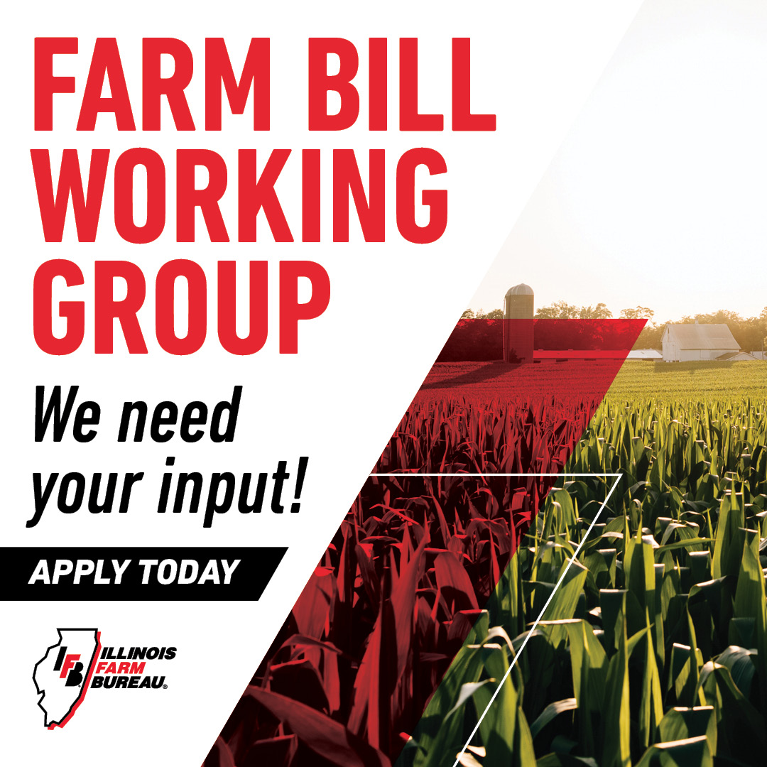 We're forming a brand new Farm Bill Working Group and we’re looking for members ready to speak up, dig in, and help shape the next farm bill from the ground up. 

Apply through your county Farm Bureau today! on.ilfb.org/3T6YU6K