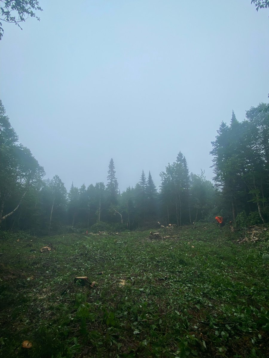 ExsicsE's tweet image. From hilltops to lowlands, there is a need to fly drill rigs into properties when dragging the rigs is too challenging. Our crews are busy creating Heli and Drill pads for upcoming drilling programs throughout Ontario.