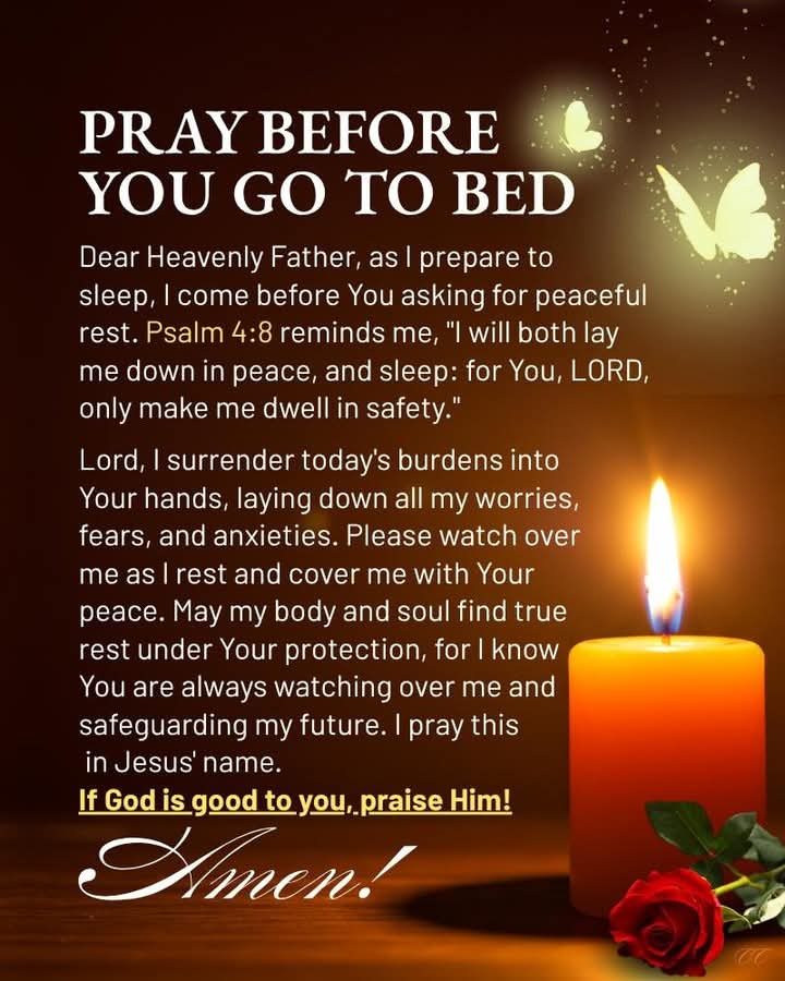 BlogSeahorse's tweet image. 