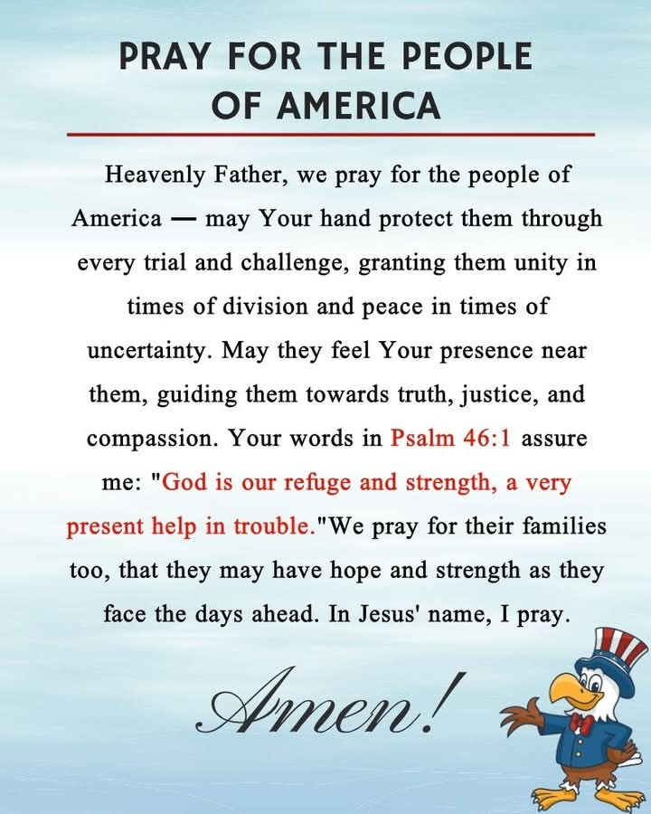 BlogSeahorse's tweet image. 