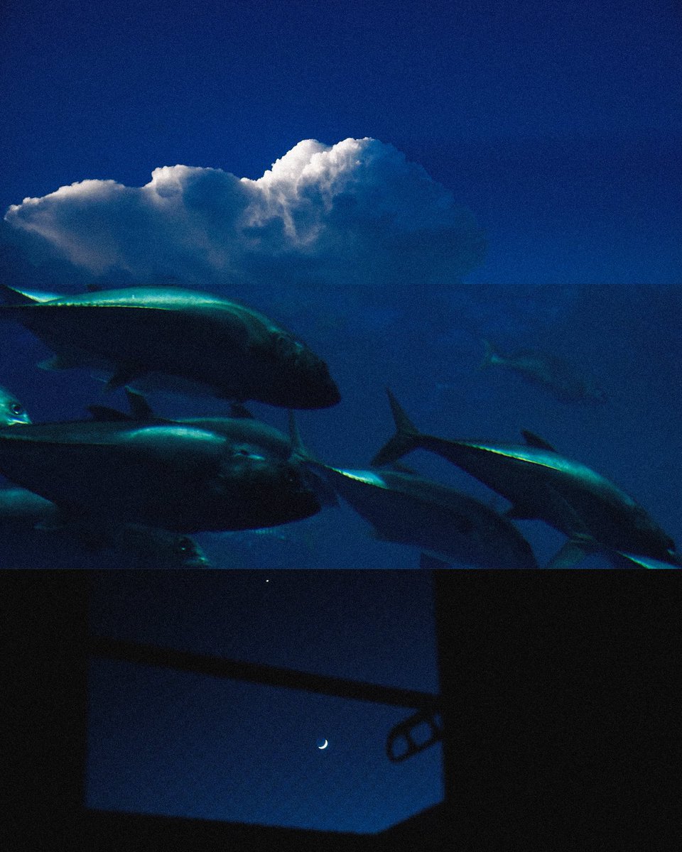 C (@_bakenokawa) on Twitter photo 