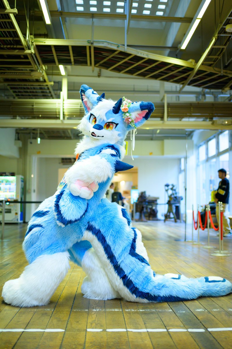 背中はちょっとみえないですが体から足としっぽのラインがばしっと出てて大好きな写真です☺️