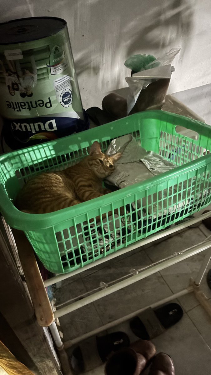 Hidup isinya pusing pusing