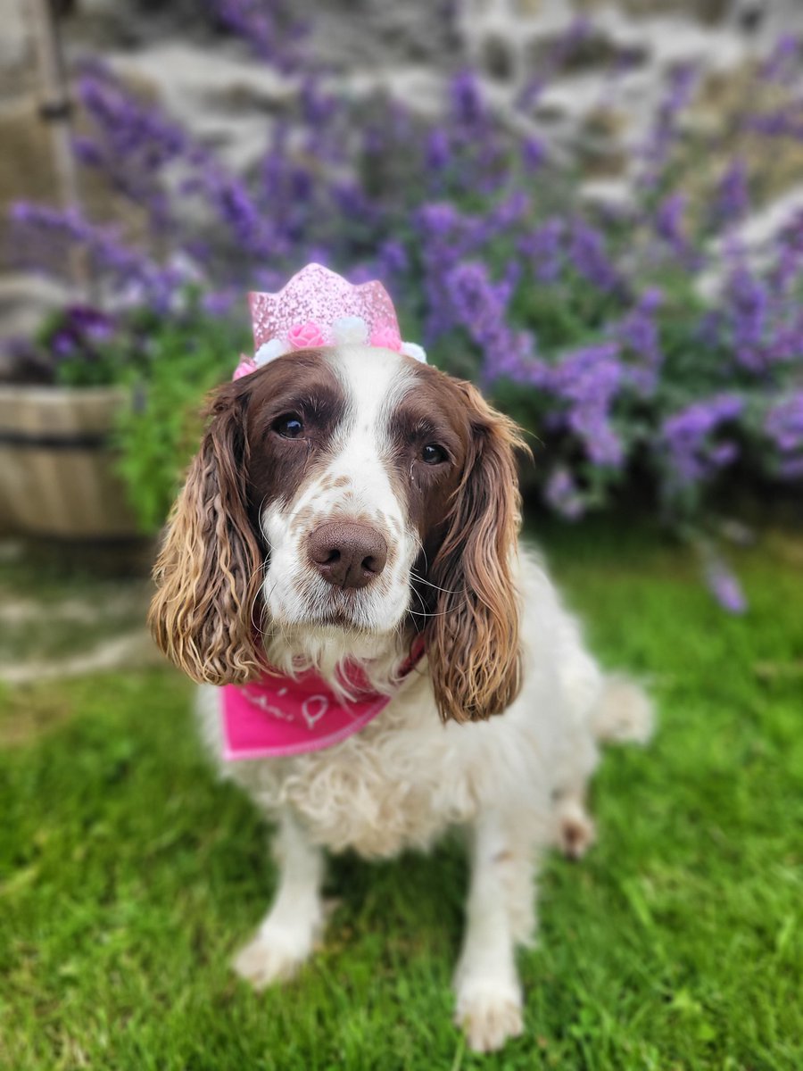 The princess is 8️⃣ today! 👑 🎈 

Happy Birthday Mags.. keep being the Diva you are 🥰