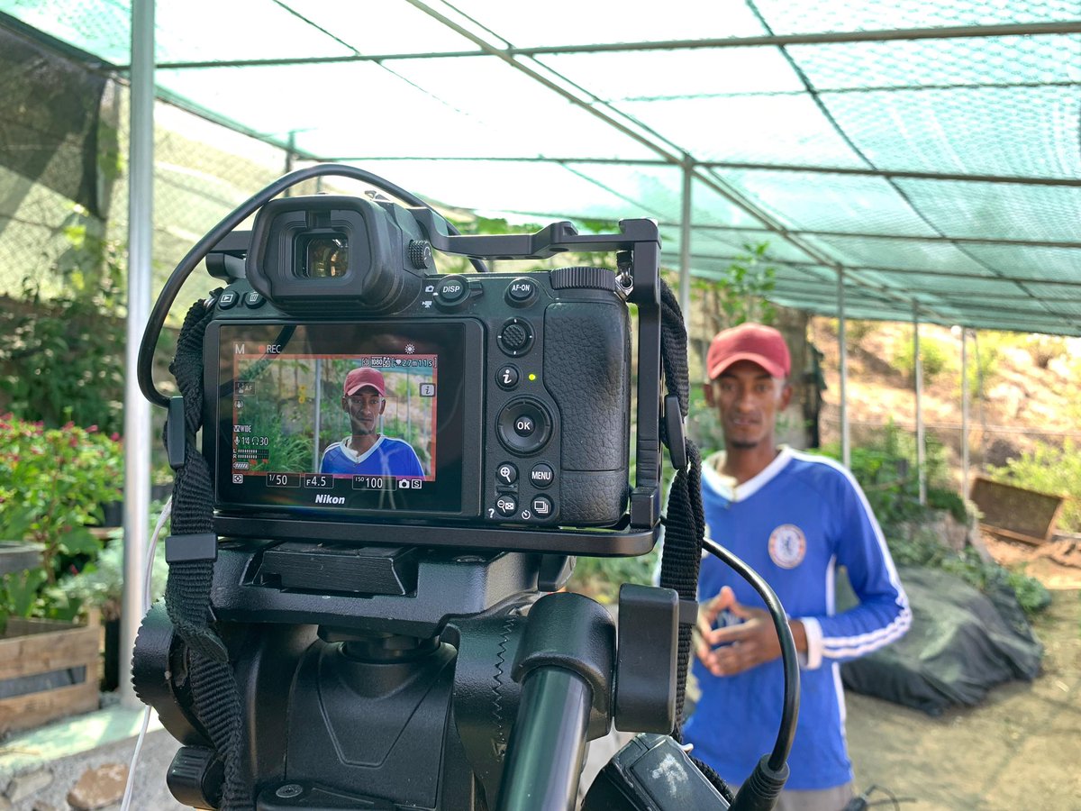 A documentary on the conservation of Cape Verde's endemic flora is underway.
The Vitó Project, with the support of the Audemars Piguet Foundation, is working on 6 islands to protect more than 50 species. 🎥🌿
#Conservation #CaboVerde