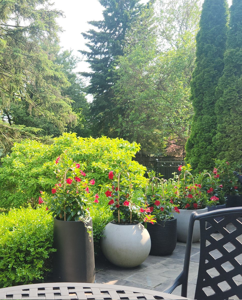 DrJacobsRad's tweet image. Dear friends,
As a bit of self care I will be taking X off of my phone for the summer.
That means that I will not be checking my X messages in any meaningful fashion. My apologies for any delayed replies.
Enjoy the sun!