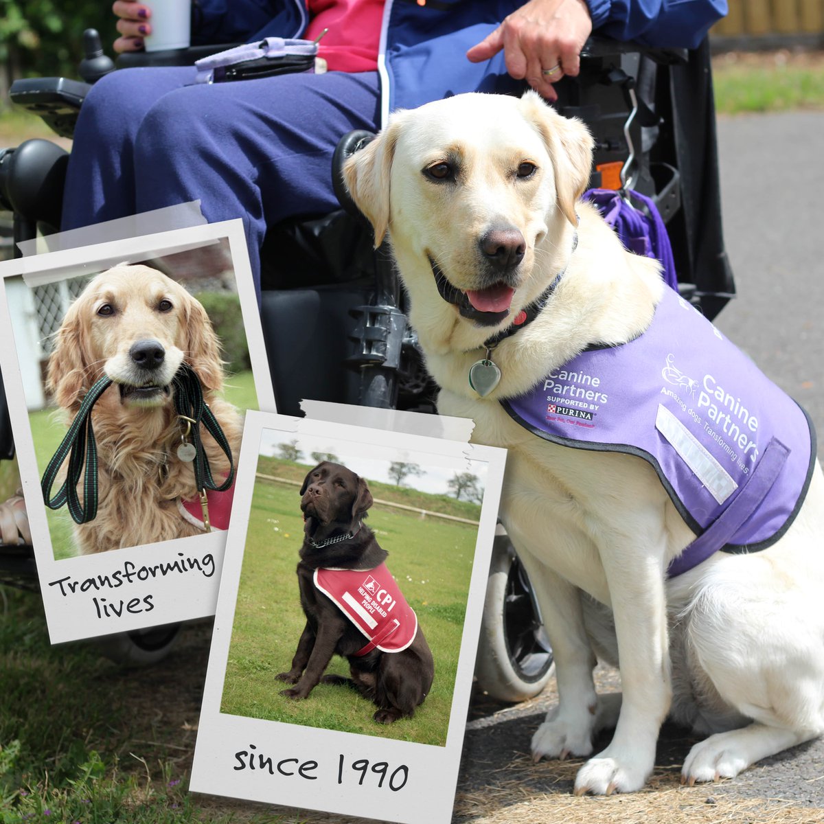 Since 1990, we've been on a mission to transform the lives of disabled people by partnering them with incredible assistance dogs. We've achieved so much, but there's so much more we can do - with your help. Please visit caninepartners.org.uk/35years to find out more!