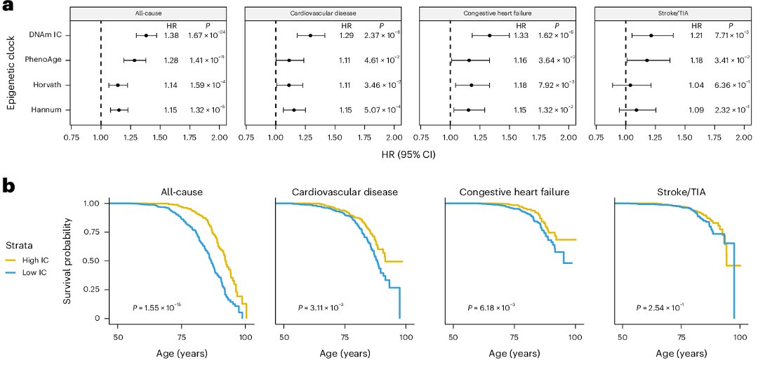 Michael F. Chiang, MD (@neidirector) on Twitter photo An epigenetic (DNA methylation-based) aging clock predicts mortality and intrinsic capacity (functional) decline (including in vision) better than earlier epigenetic clocks.
#NIHfunded <a href="/BuckInstitute/">Buck Institute</a>
<a href="/NatureAging/">Nature Aging</a> paper: brnw.ch/21wTDQw An epigenetic (DNA methylation-based) aging clock predicts mortality and intrinsic capacity (functional) decline (including in vision) better than earlier epigenetic clocks.
#NIHfunded <a href="/BuckInstitute/">Buck Institute</a>
<a href="/NatureAging/">Nature Aging</a> paper: brnw.ch/21wTDQw
