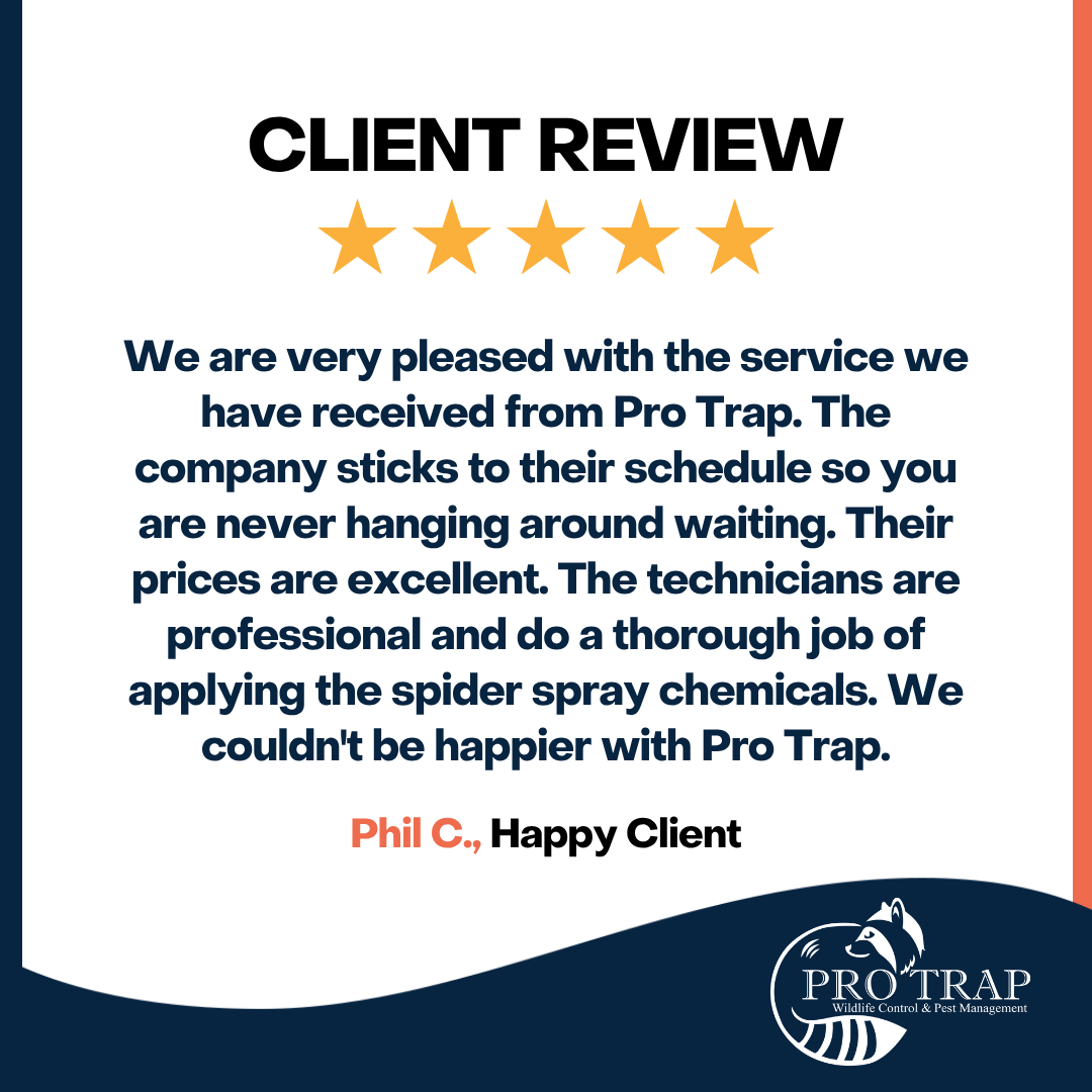 Thanks for the kind words, Phil!