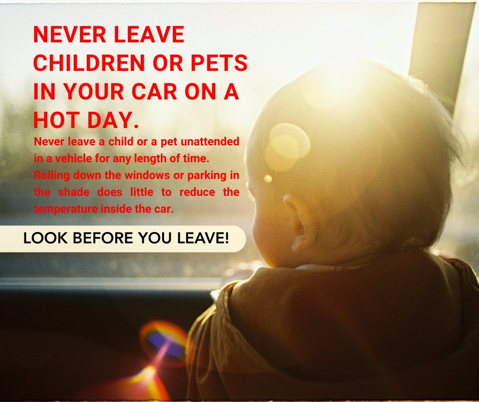 YCSO_SC's tweet photo. It's gonna be hot today! Never leave a child or a pet unattended in a vehicle for any length of time.
Rolling down the windows or parking in the shade does little to reduce the temperature inside the car. #YCSONews #HeatSafetyTips https://t.co/r2KOYzySlh
