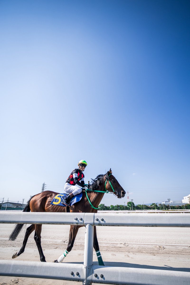 stay_h_p's tweet photo. #園田競馬
#そのだけいば
#インゲニウム
#井上幹太
#17mm https://t.co/zfOORRVvX0