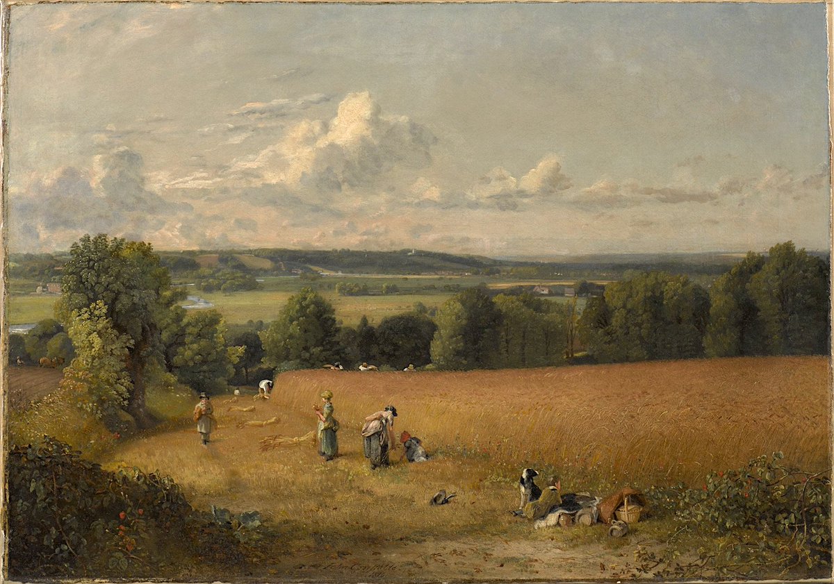 JohnConstableRA's tweet photo. The Wheat Field by John Constable 1816
Oil on Canvas
(Clark Art Institute Williamstown, Massachusetts) https://t.co/T5vz71VpaS