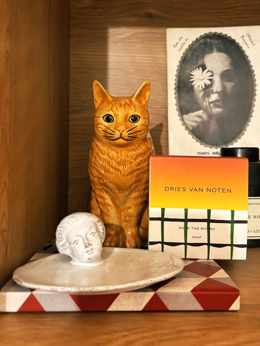 うちの茶茶にそっくりな貯金箱🐈