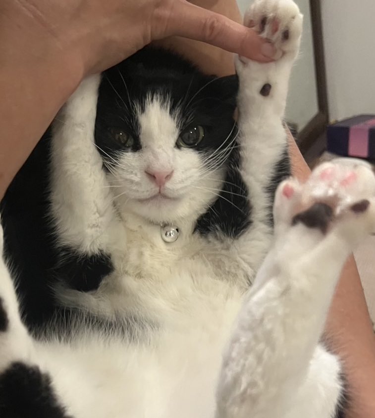 バンザイ中…..？