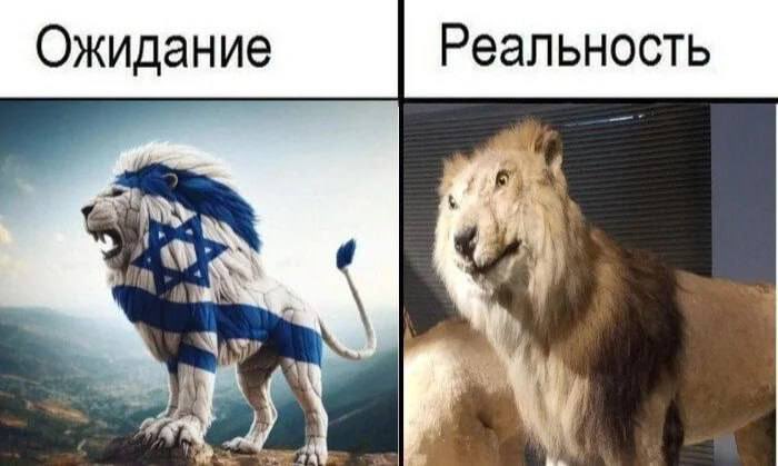 Воистину, лев — не лучший выбор для тотемного животного. Ленивый зверь, который только лежит и жрет, заставляя самок охотиться вместо себя
