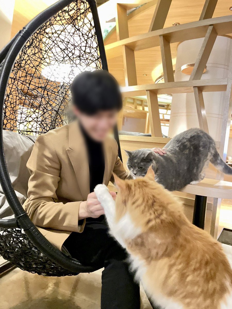 ruirui952's tweet photo. 初めまして！
ルイと申します🌟

・中イキがよく分からないけど興味ある
・彼氏とのエ〇チがイマイチ
・気持ちよく処女卒したい

少しでも気になるなーって方はお気軽にDMかフォームまでご連絡くださいね！
楽しい時間を過ごしましょー！

https://t.co/l6zLwMSzwf https://t.co/MHubiOLzCG