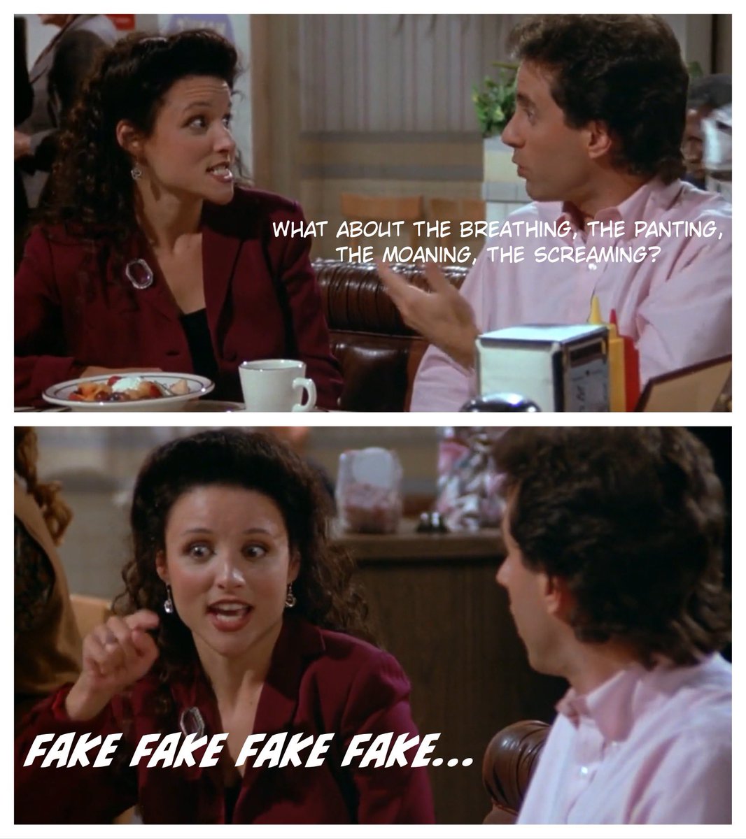 Seinfeldism1's tweet photo. What about the breathing, the panting, the moaning, the screaming? #Seinfeld #Elaine #TheMango https://t.co/cmXsLcCBZn