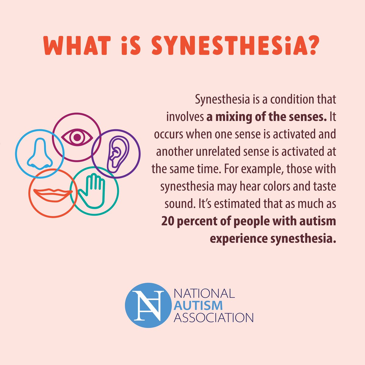 NationalAutism's tweet image. Is it possible to hear colors, or taste sound? Yes. It’s estimated that about 20% of people with #autism experience Synesthesia.