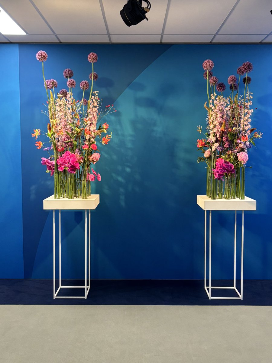 Wijnand Marchal tweet media