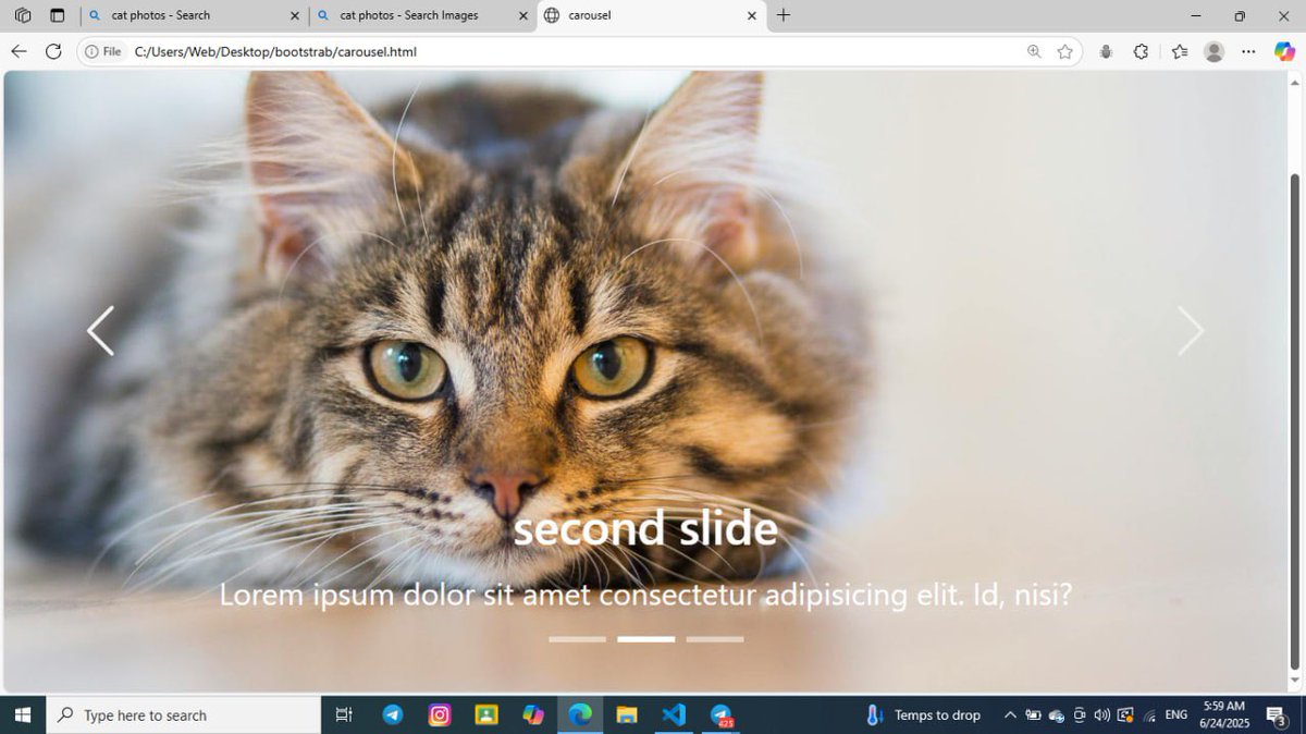 setaysh_azizi's tweet image. ✅ Designed and developed a fully responsive image carousel using Bootstrap.
Features: auto-play, navigation buttons, and smooth transitions. #WebDevelopment #Bootstrap #afghangirlscode
@CodeToInspire 
@E_Ehrari