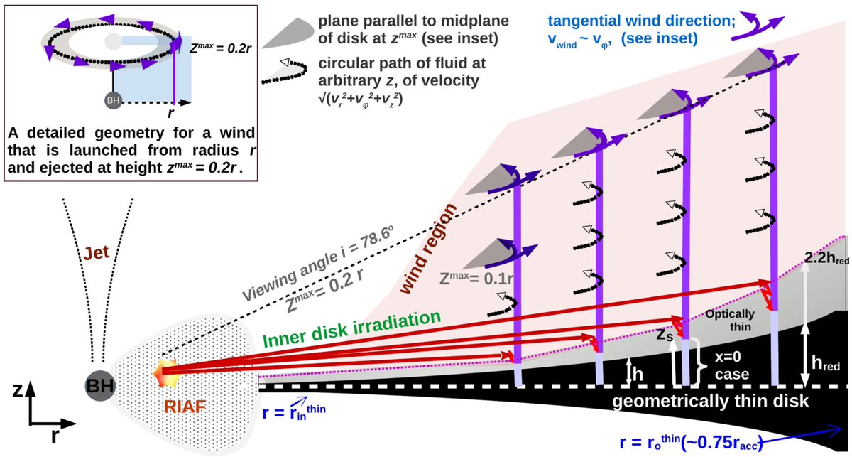 PASPJournal's tweet image. A recent article published in @PASPJournal presents a model which describes the hydrodynamical thermal irradiated wind which can emanate from the outer thin accretion disk in low-luminosity active galactic nuclei. iopscience.iop.org/article/10.108…. -JGM