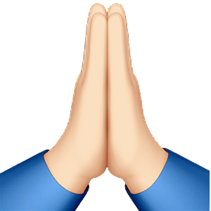 crazy illini lady tweet media