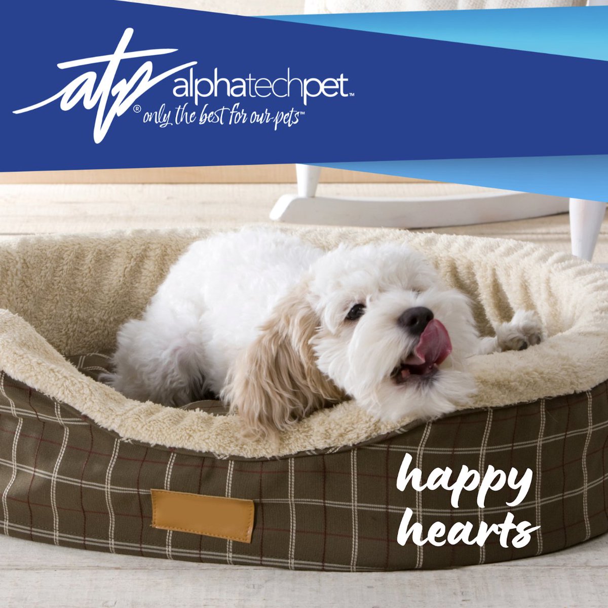 AlphaTechPetInc's tweet image. They give us their best every single day — give them the cleanest space to recharge. Clean beds, happy hearts. #RestTime #PetLife #CleanComfort #AlphaTechPet